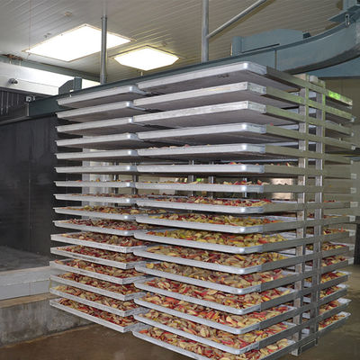 Máy sấy đông lạnh tự động đa chức năng 500kg