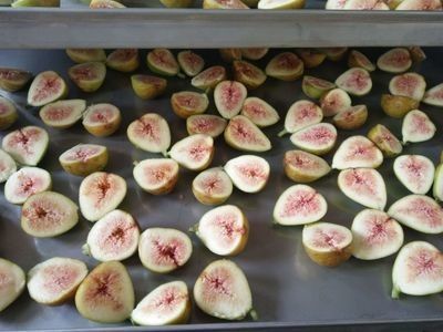 Máy ép trái cây sấy khô bằng thép không gỉ